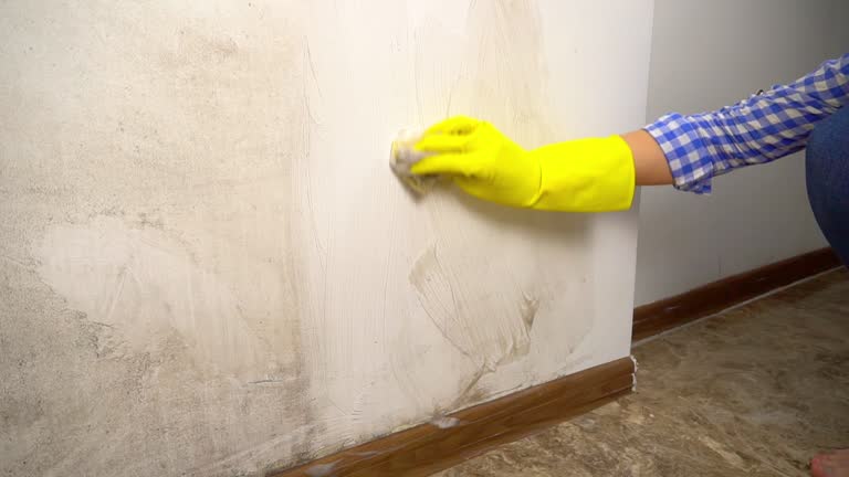 Best Commercial Mold Inspection  in Winchester, TN